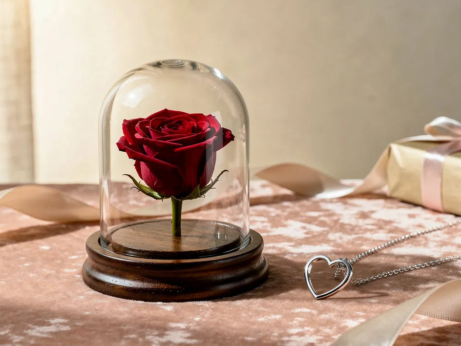 
Gifts &amp; Occasions