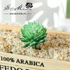 A small, vibrant green artificial succulent bonsai ball is displayed in a wooden box filled with light-colored gravel.