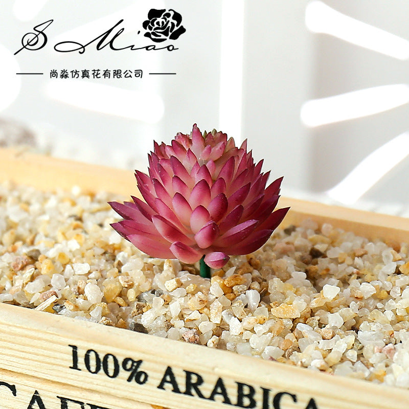 A pink succulent bonsai ball is displayed in a wooden box filled with coarse gravel.