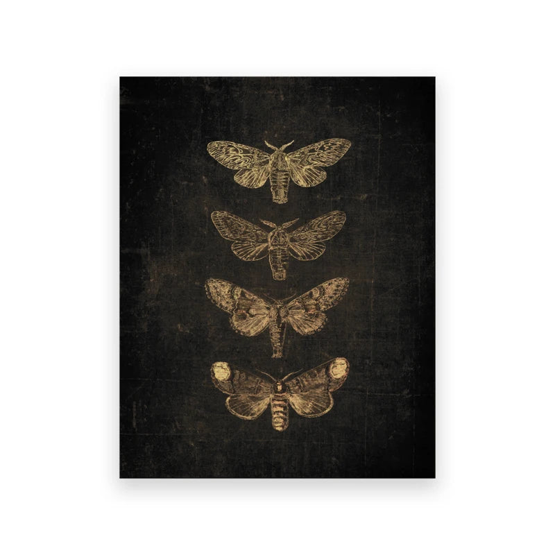 Impression sur toile sombre représentant quatre silhouettes de papillons de nuit de tailles variées sur fond noir.