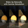 Sunrise simulation alarm clock displaying 6:30 with a warm light in a dark room.