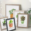 A collection of wooden photo frames displaying various green plants and foliage.