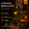 A black cat moon lantern with a pumpkin decoration displayed on a dark garden path.