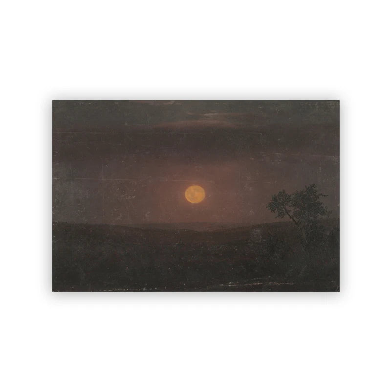 Impression sombre d'un lever ou coucher de soleil sur un paysage avec des arbres en silhouette.