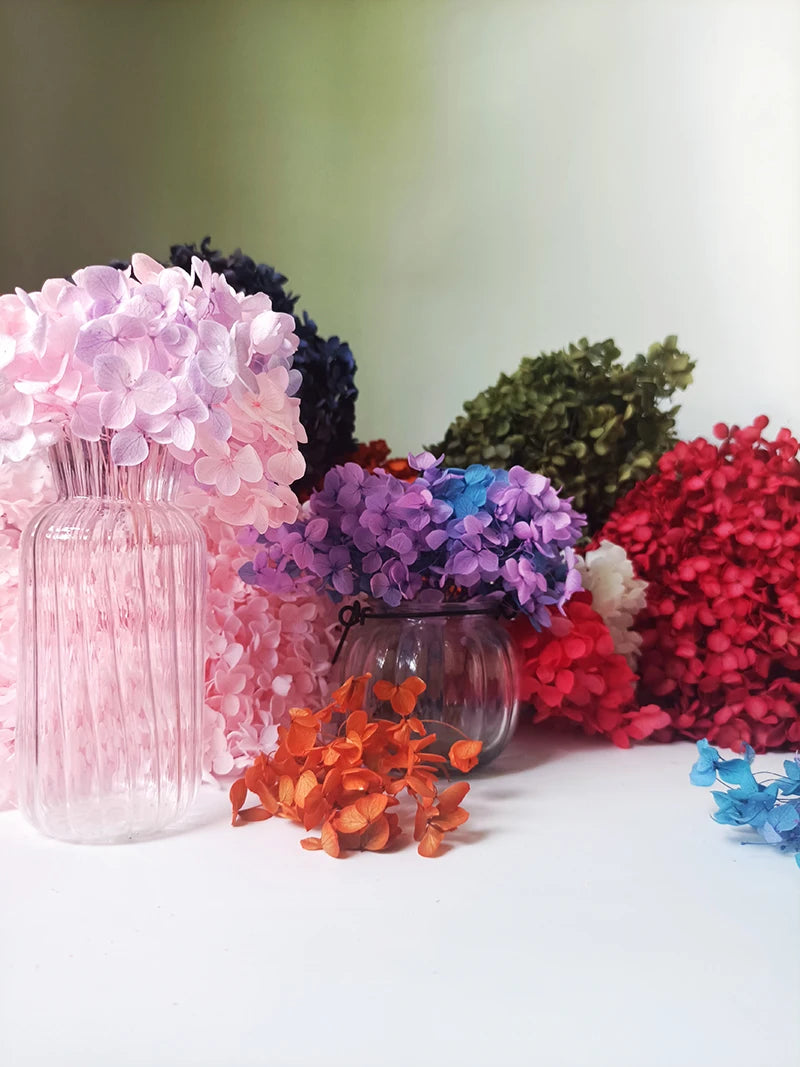 A collection of dried hydrangea flowers in shades of pink, purple, red, and green arranged on a white surface.