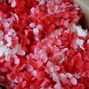 A close-up of bright pink and white dried hydrangea petals in a wooden container.