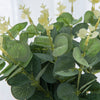 Green eucalyptus leaves with pale yellow stems used for home and event decor