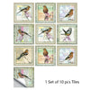 A set of ten square tiles featuring watercolor illustrations of various birds on a light background