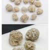 A collection of natural desert rose selenite stones in various sizes and textures scattered on a white surface.