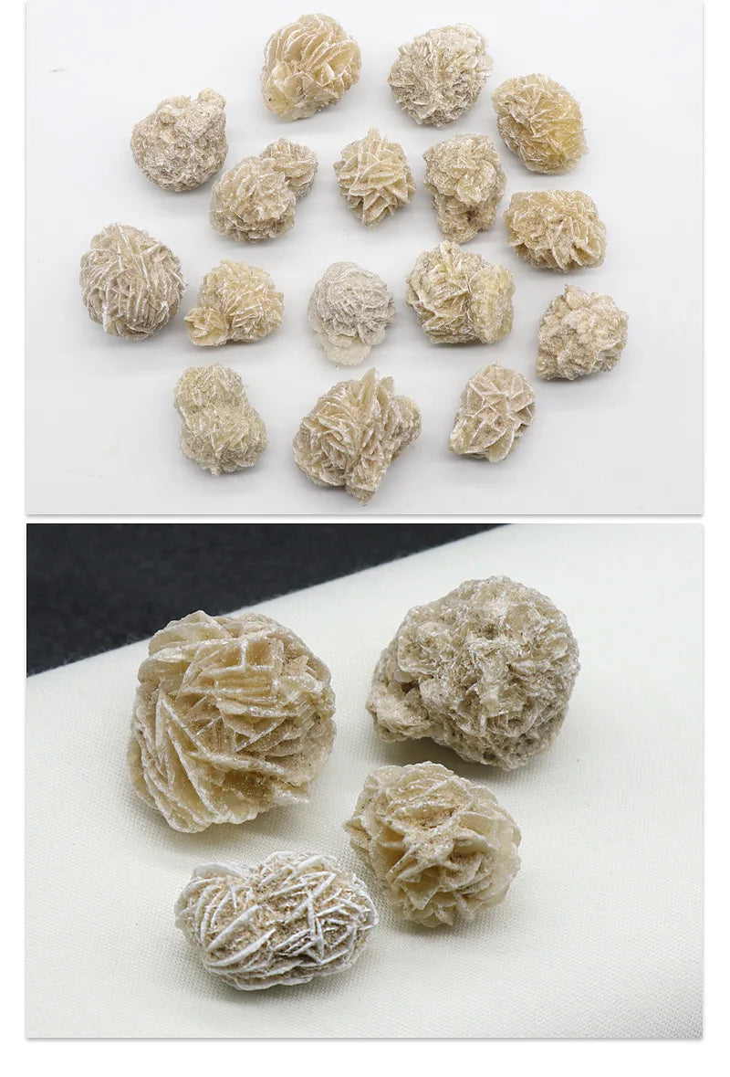 A collection of natural desert rose selenite stones in various sizes and textures scattered on a white surface.