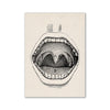 A black and white line drawing of an open human mouth showing teeth and gums labeled A and B.