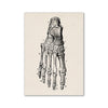 A black and white line drawing of a human hand skeleton with numbered bones.