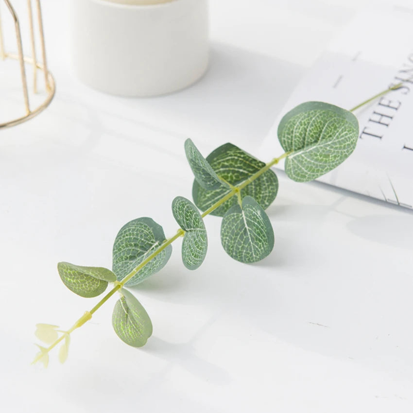 Green eucalyptus leaf stems arranged on a white surface next to a white cup and a book.