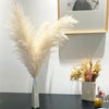 A tall bouquet of fluffy cream-colored dried pampas grass in a white vase displayed on a dark surface.