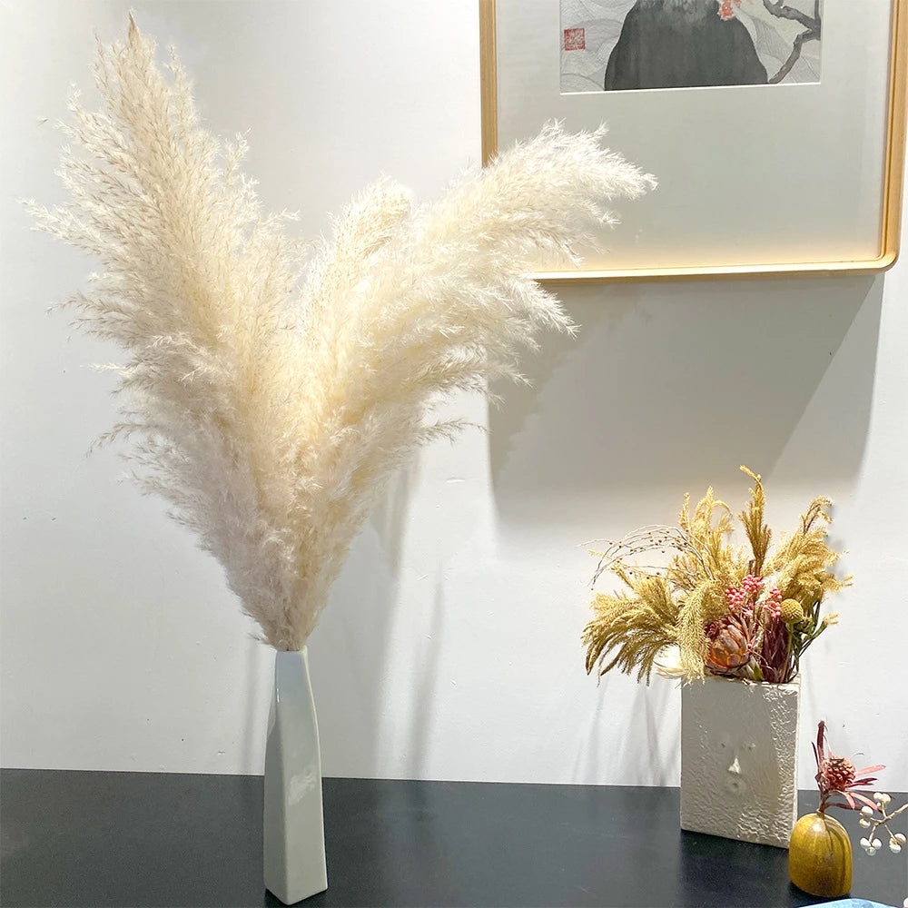 A tall bouquet of fluffy cream-colored dried pampas grass in a white vase displayed on a dark surface.