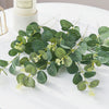 Green eucalyptus leaf stems arranged on a white surface with a white jar in the background.