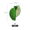 A cross-section of a green fruit or vegetable, likely a kiwi or similar item, showing red seeds and flesh.