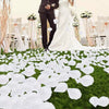 Silk Rose Petals for Weddings and Events