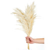 A bundle of light beige natural dried pampas grass flowers held by a hand.