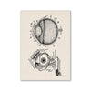 Vintage anatomical drawing of the eye and lacrimal gland showing various structures like the choroid, retina, and canaliculi