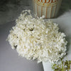 A bunch of white dried hydrangea florets displayed on a white plate.