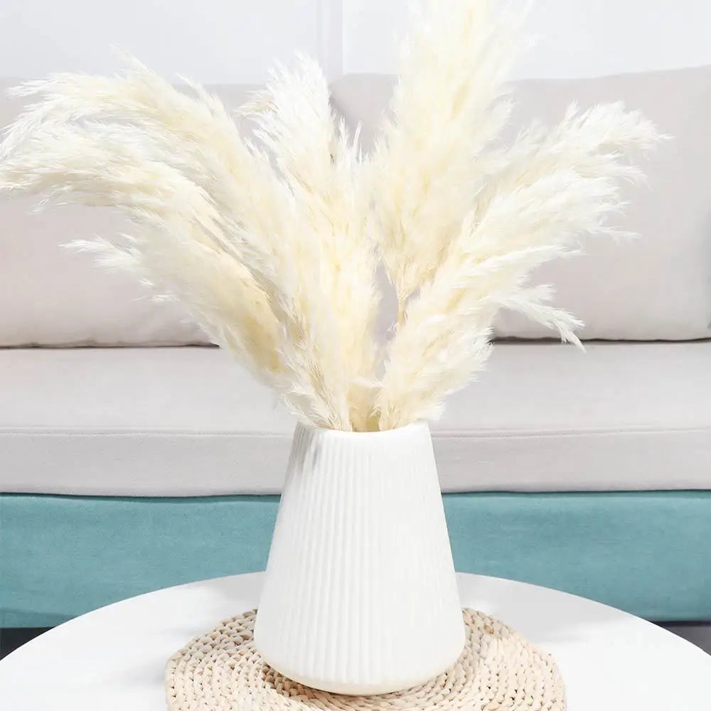 A bouquet of fluffy cream-colored natural dried pampas grass in a white vase on a light surface.