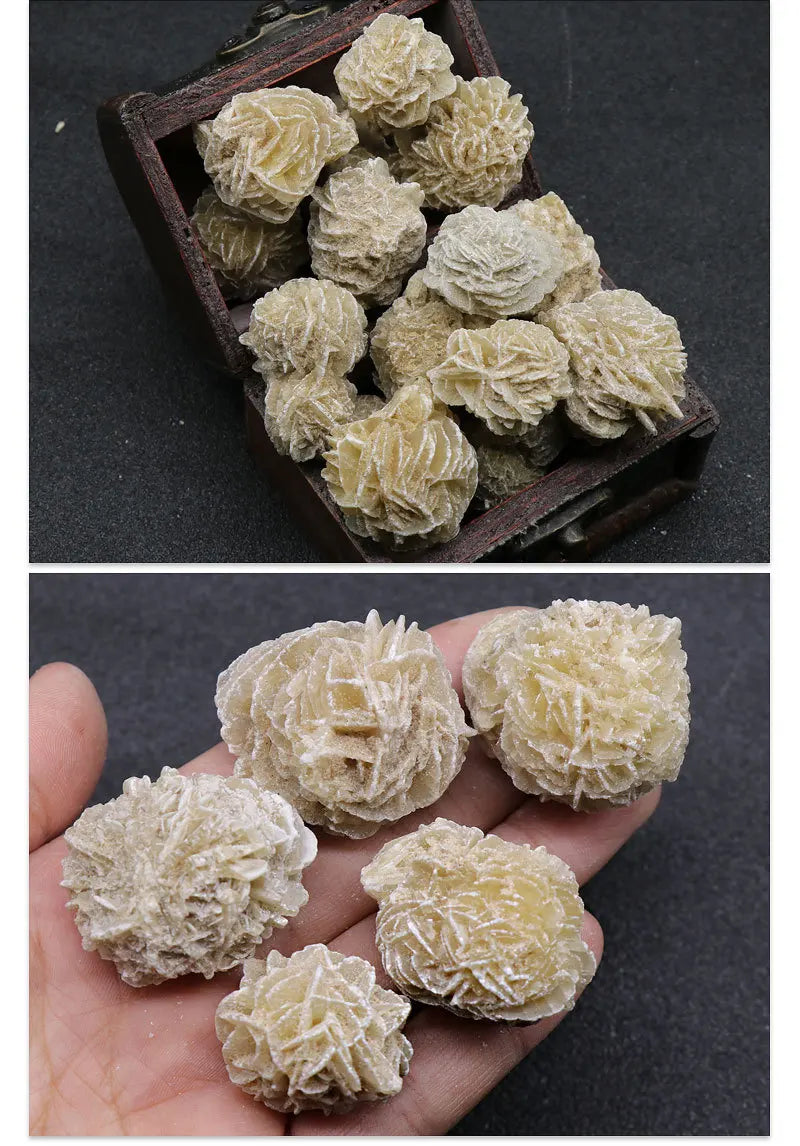 A collection of natural desert rose selenite stones in a wooden box and loose on a hand