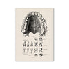 Vintage human anatomy canvas art print showing various views of a tooth and molar structure.