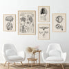 A collection of vintage human anatomy canvas art prints featuring detailed drawings of the brain, skeleton, and internal orga