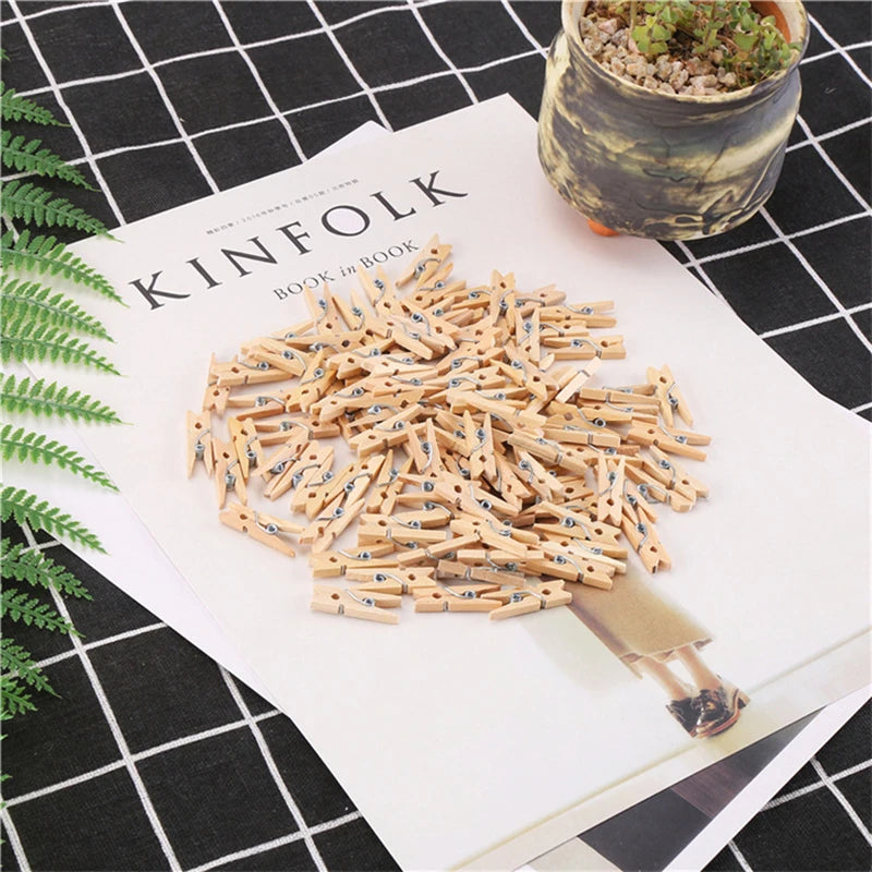 A pile of natural wooden clips in various shades of blue and beige scattered on a white paper next to a potted plant.