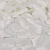 White heart-shaped sponge confetti scattered on a white surface.