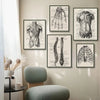 A collection of black and white anatomical drawings of the human skeleton, muscle, and organs displayed on a wall.