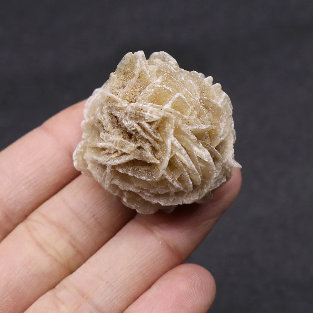 A small, pale beige natural desert rose selenite stone is held in a hand against a dark background.