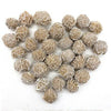 A collection of natural desert rose selenite stones in various shades of beige and gray.