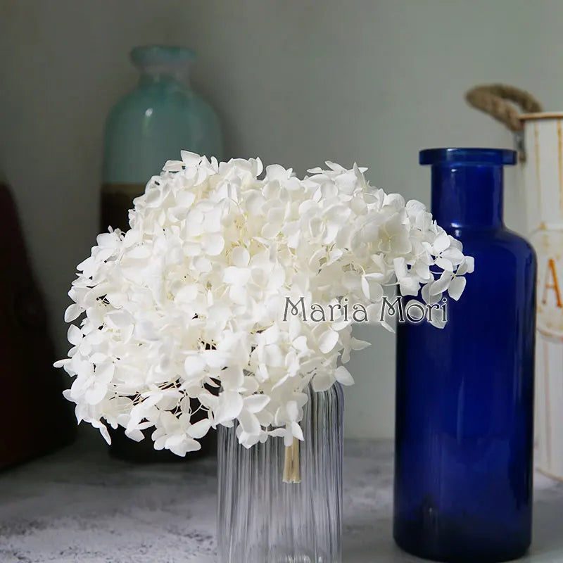 A bouquet of white dried hydrangea flowers in a glass vase on a light surface.