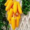 A bunch of bright yellow corn on the cob hanging for decoration.