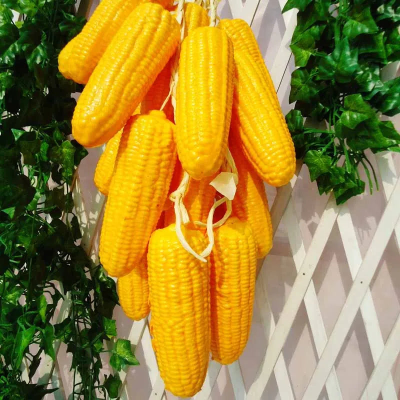 A bunch of bright yellow corn on the cob hanging for decoration.