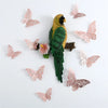 Ein Set aus 3D-Hohl-Schmetterlings-Wandaufklebern mit einem gelben Vogel und verschiedenen rosa und grünen Schmetterlingen.