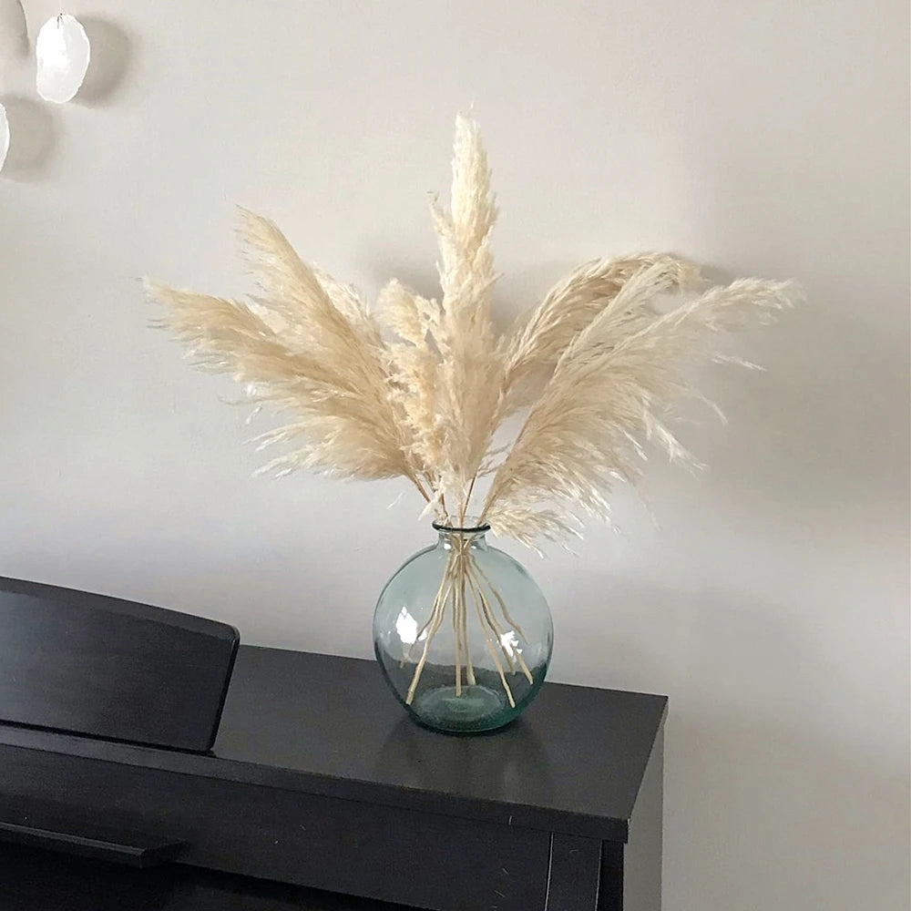 A vase holds a bouquet of light beige natural dried pampas grass against a white wall.