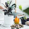 A hand is pouring white liquid onto a small plant in a white pot, with miniature resin gnome statues and wood pieces nearby.