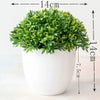 Artificial bonsai tree in a white pot with dense green foliage, shown from above.