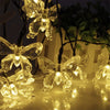 A close-up of glowing solar decorative string lights shaped like butterflies illuminating a dark background.