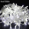 A bundle of Cool White LED string lights used for holiday decoration.