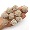 Several natural desert rose selenite stones are held in a hand against a white background.