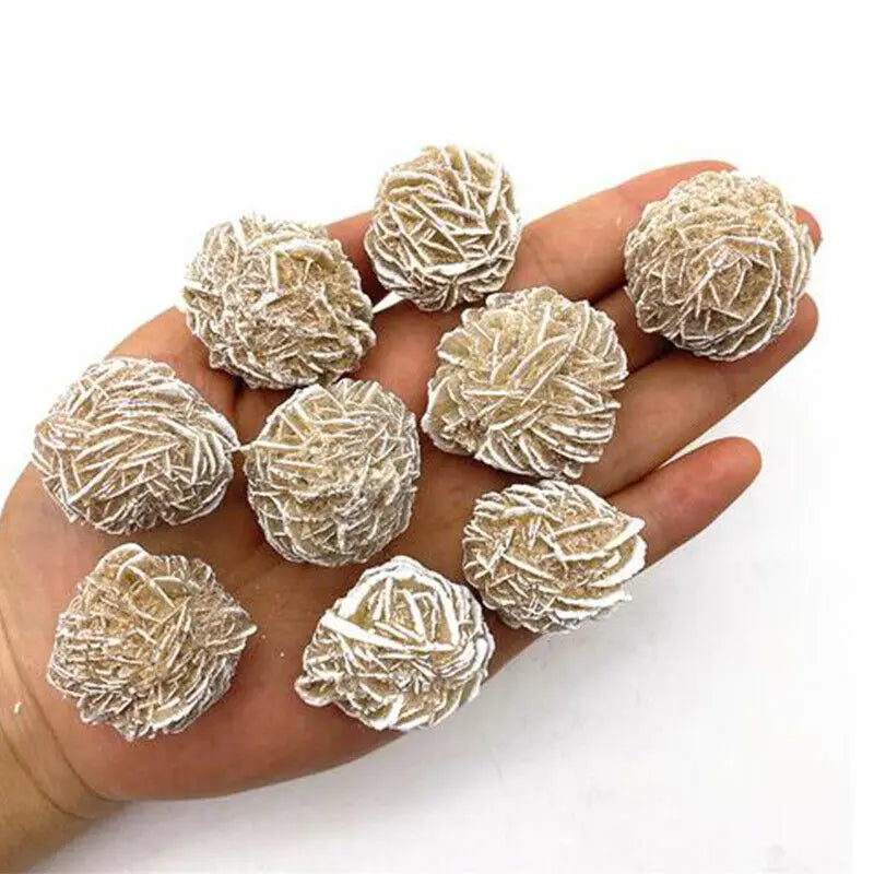 Several natural desert rose selenite stones are held in a hand against a white background.