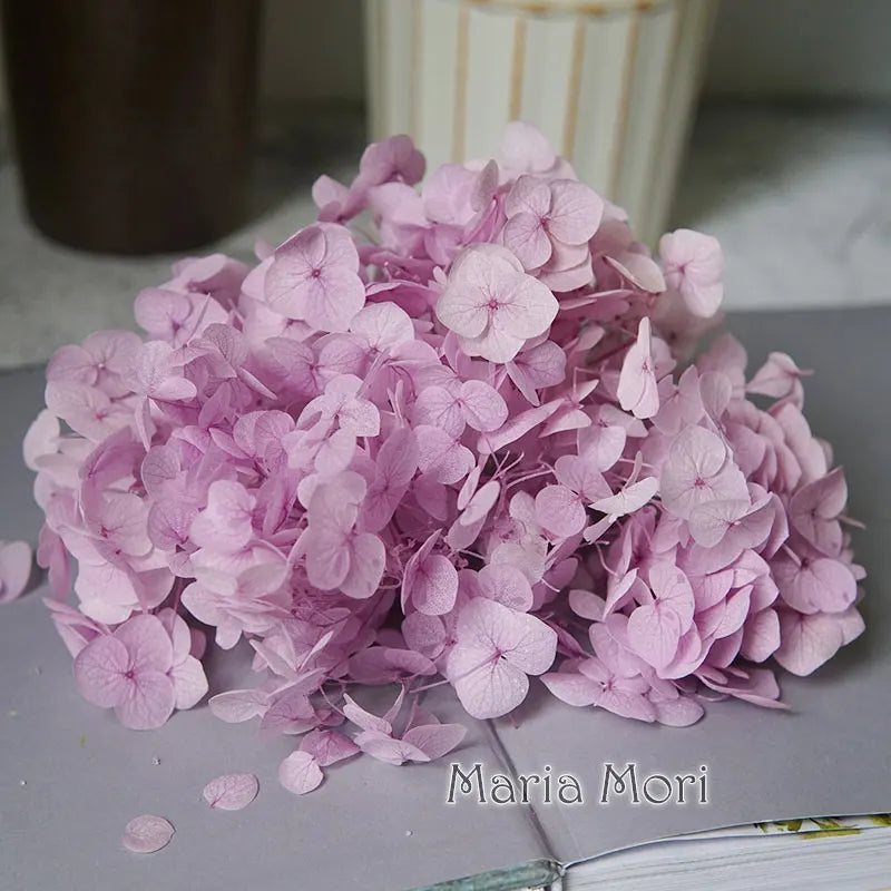 A pile of light pink dried hydrangea florets scattered on a gray surface.