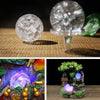 A crystal ball water feature ornament with a clear glass sphere and mossy natural setting.