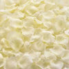 Silk Rose Petals for Weddings and Events