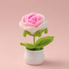 Hand woven pink and white crochet rose flower potted in a white ceramic pot