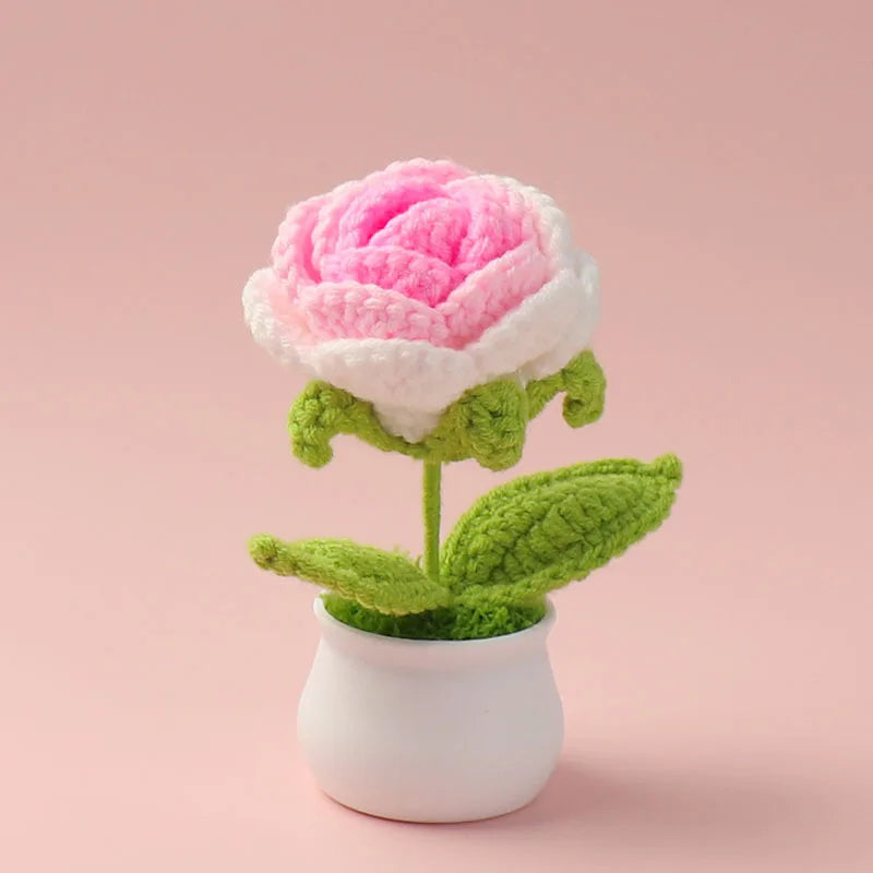 Hand woven pink and white crochet rose flower potted in a white ceramic pot